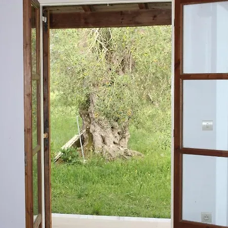Repose Olive Grove Apartamento