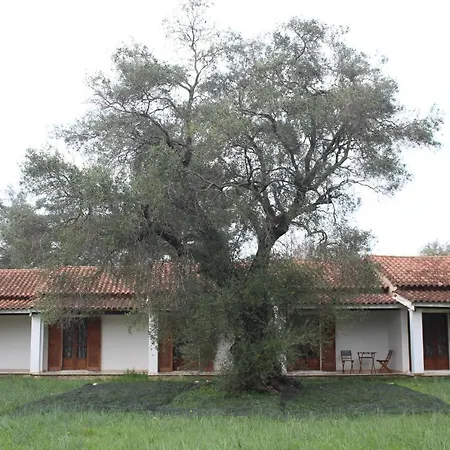 Repose Olive Grove Lejlighed *