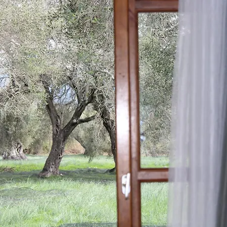 Repose Olive Grove *