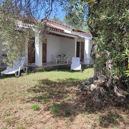 Repose Olive Grove Apartment