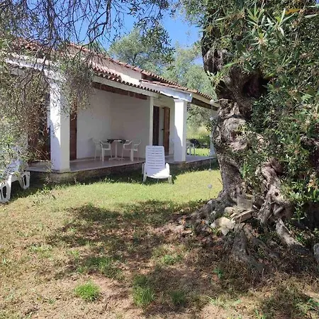 Repose Olive Grove *